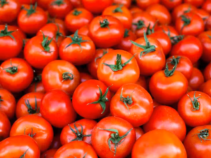 food storage tips