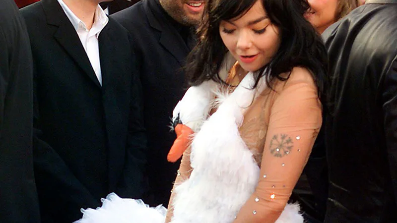 celebrity red carpet fails