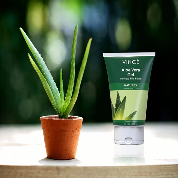 natural skincare ingredient aloe vera